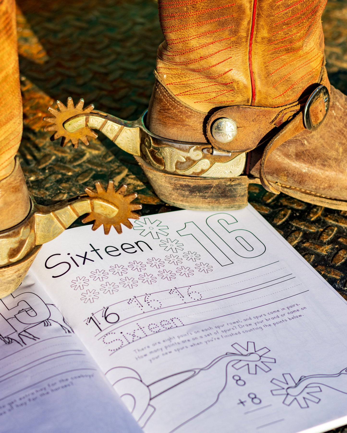 Example page of Ranch Math Grade 1. Sixteen spur rowels.