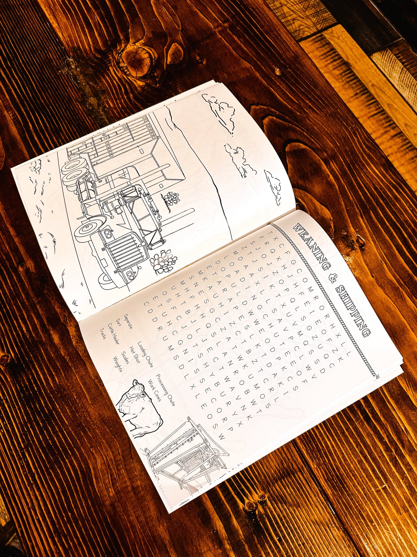 Western Word Search Inside page