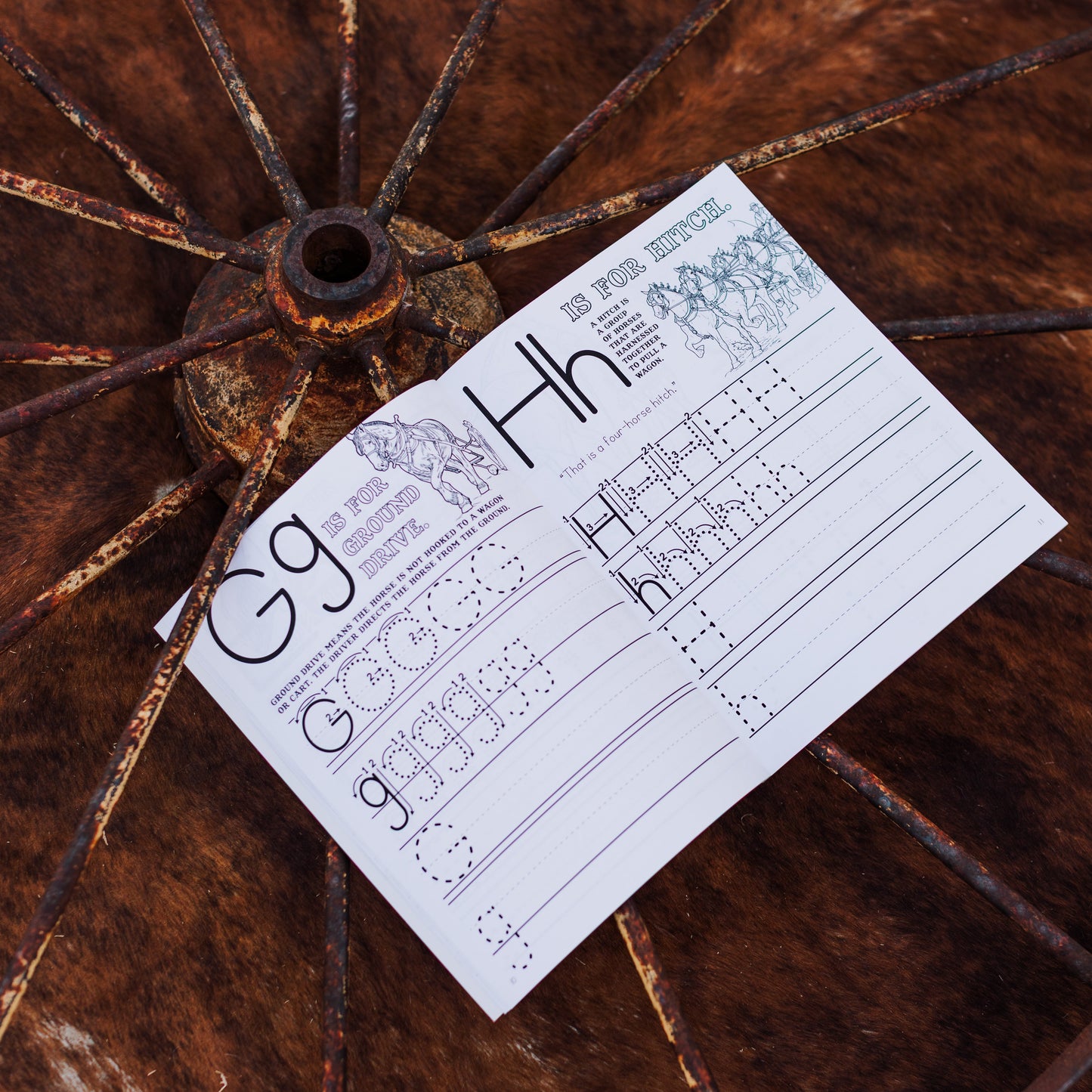 Draft Horse ABC Workbook